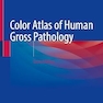 Color Atlas of Human Gross and Microscopic Pathology Second Edition