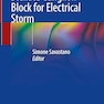 Percutaneous Stellate Ganglion Block for Electrical Storm