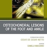 Osteochondral Lesions of the Foot and Ankle, An issue of Foot and Ankle Clinics of North America