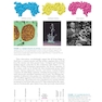 Biochemistry Stryer 9th Edition
