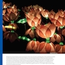 Cognitive Psychology: Connecting Mind, Research, and Everyday Experience 6th Edition