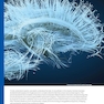 Cognitive Psychology: Connecting Mind, Research, and Everyday Experience 6th Edition