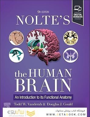 Nolte