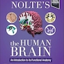 Nolte