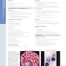Diagnostic Pathology: Normal Histology 3rd Edition