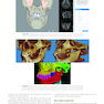 Contemporary Orthodontics 7th Edition