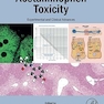 Acetaminophen Toxicity: Experimental and Clinical Advances 1st Edition