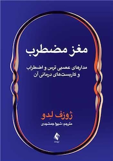 عکس مغز مضطرب