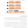 بازسازی عمودی جلد دوم (اوربن) Urban 2022