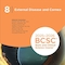 2025-2026 Basic and Clinical Science Course, Section 8: External Disease and Cornea