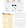 BAILEY AND SCOTTS DIAGNOSTIC MICROBIOLOGY WITH ACCESS CODE 16ED