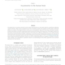Cerebral Asymmetries