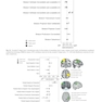 Cerebral Asymmetries