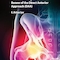 The Hip Joint