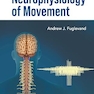 Introduction to the Neurophysiology of Movement