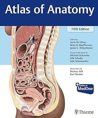 عکس Atlas of Anatomy 5th Edition