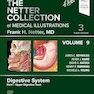 The Netter Collection of Medical Illustrations: Digestive System