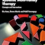 Systemic Multi-Family Therapy 1st Edition