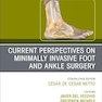 Current Perspectives on Minimally Invasive Foot and Ankle Surgery: An Issue of Foot and Ankle Clinics of North America