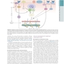 The Principles of Harrison’s Internal Medicine: Cardiovascular Diseases 2026