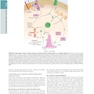 The Principles of Harrison’s Internal Medicine: Cardiovascular Diseases 2026