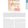 The Principles of Harrison’s Internal Medicine: Cardiovascular Diseases 2026