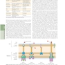 The Principles of Harrison’s Internal Medicine: Bacterial Infectious Diseases 2026