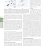 The Principles of Harrison’s Internal Medicine: Bacterial Infectious Diseases 2026
