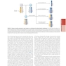 The Principles of Harrison’s Internal Medicine: Hematology Diseases 2026