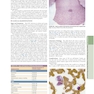 The Principles of Harrison’s Internal Medicine: Viral Infectious Diseases 2026