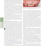 The Principles of Harrison’s Internal Medicine: Viral Infectious Diseases 2026