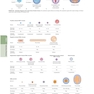 The Principles of Harrison’s Internal Medicine: Viral Infectious Diseases 2026