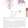 The Principles of Harrison’s Internal Medicine: Kidney and Urinary Tract Diseases 2026
