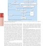 The Principles of Harrison’s Internal Medicine: Liver and Pancreatic Diseases 2026