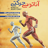 آناتومی حرکتی قیطاسی