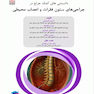 دانستنی های کمک جراح در جراحی های ستون فقرات و اعصاب محیطی