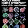 Atlas of Human Embryo Development: Advances with New Imaging Technologies 1st Edition