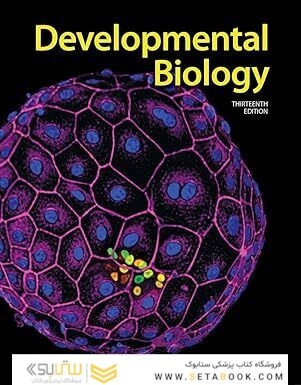 Developmental Biology 13th Edition