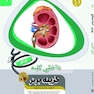 گزینه برتر داخلی کلیه (نفرولوژی) 1403