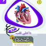 گزینه برتر داخلی قلب 1403