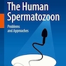 The Human Spermatozoon: Problems and Approaches