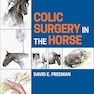 Colic Surgery in the Horse
