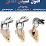 اصول کشیدن دندان