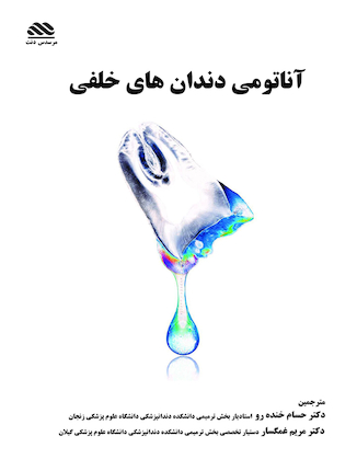 عکس آناتومی دندان های خلفی