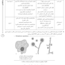 AGK درسنامه قارچ شناسی (تخصصی)