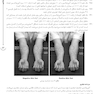 درسنامه بهداشت باروری