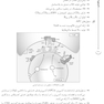 AGK نکات داغ هنری دیویدسون 2022 «4 جلدی»