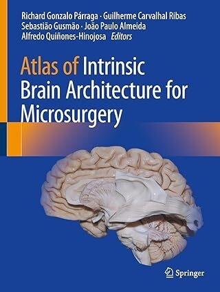 عکس Atlas of Intrinsic Brain Architecture for Microsurgery