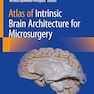 Atlas of Intrinsic Brain Architecture for Microsurgery
