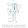 Procedures in Phlebotomy 5th Edition
